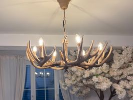 Rustikaler Hirschgeweih Kronleuchter Ø 60 cm – 6-flammig – C