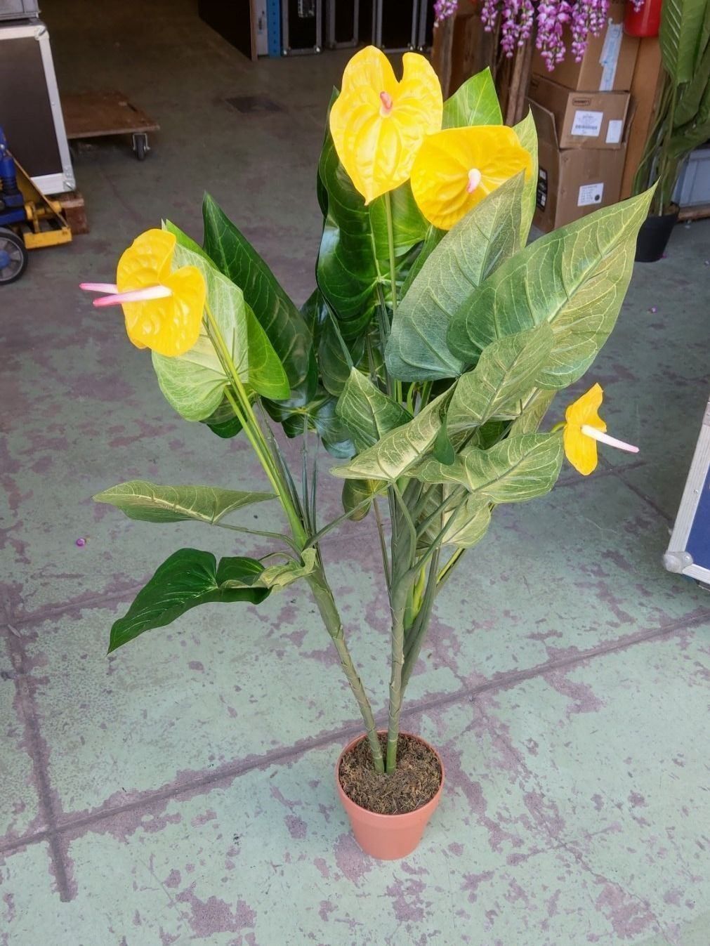 Piante & sementi: Decoflower Anthurium mit gelben Blüten 120cm – Nuovo (secondo la descrizione) da Däniken SO venduto da Profog1