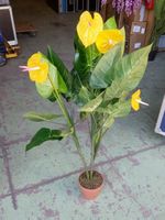 Decoflower Anthurium mit gelben Blüten 120cm