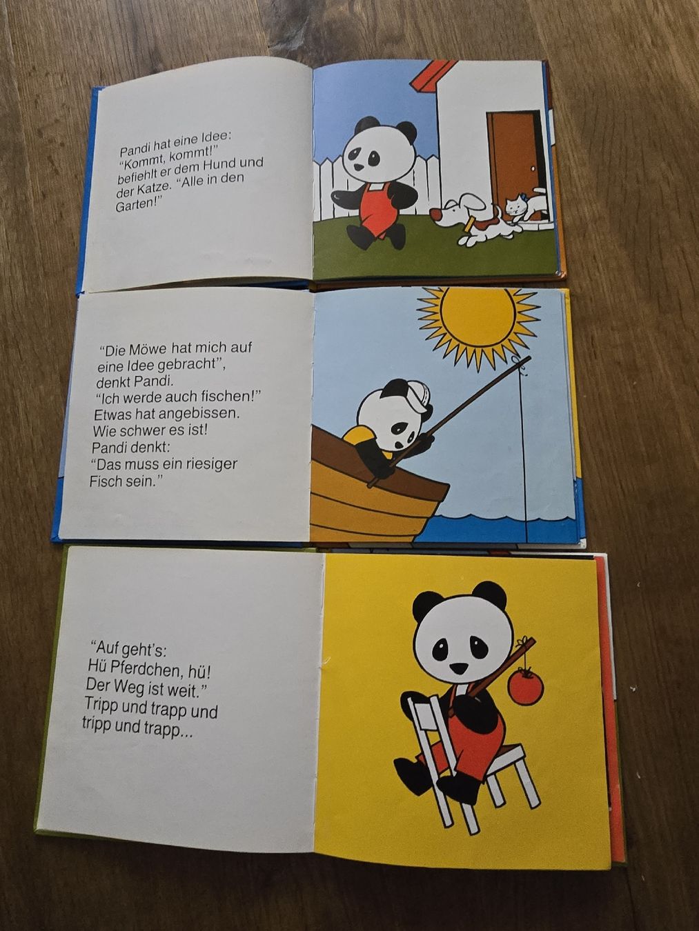 Libri: pandi bücher set – Usato da Wittenbach venduto da Tigerlili 7
