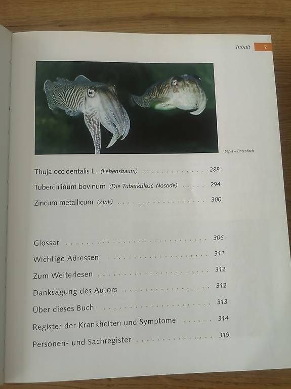 Libri: Handbuch der Homöopathie – Usato da Rothenburg venduto da Priska_70 4