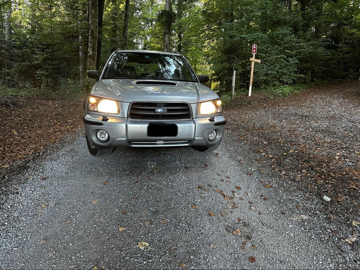 Subaru Automobili: Subaru Forester – Usato da Uznach venduto da jul_fv92