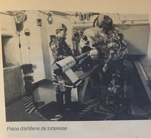 Libri: reglement armée suisse arme grenade char – Usato da Nyon venduto da 65d45 1