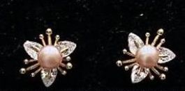 Silber Ohrringe Ohrstecker Süsswasserperlen - Blumen 🌸