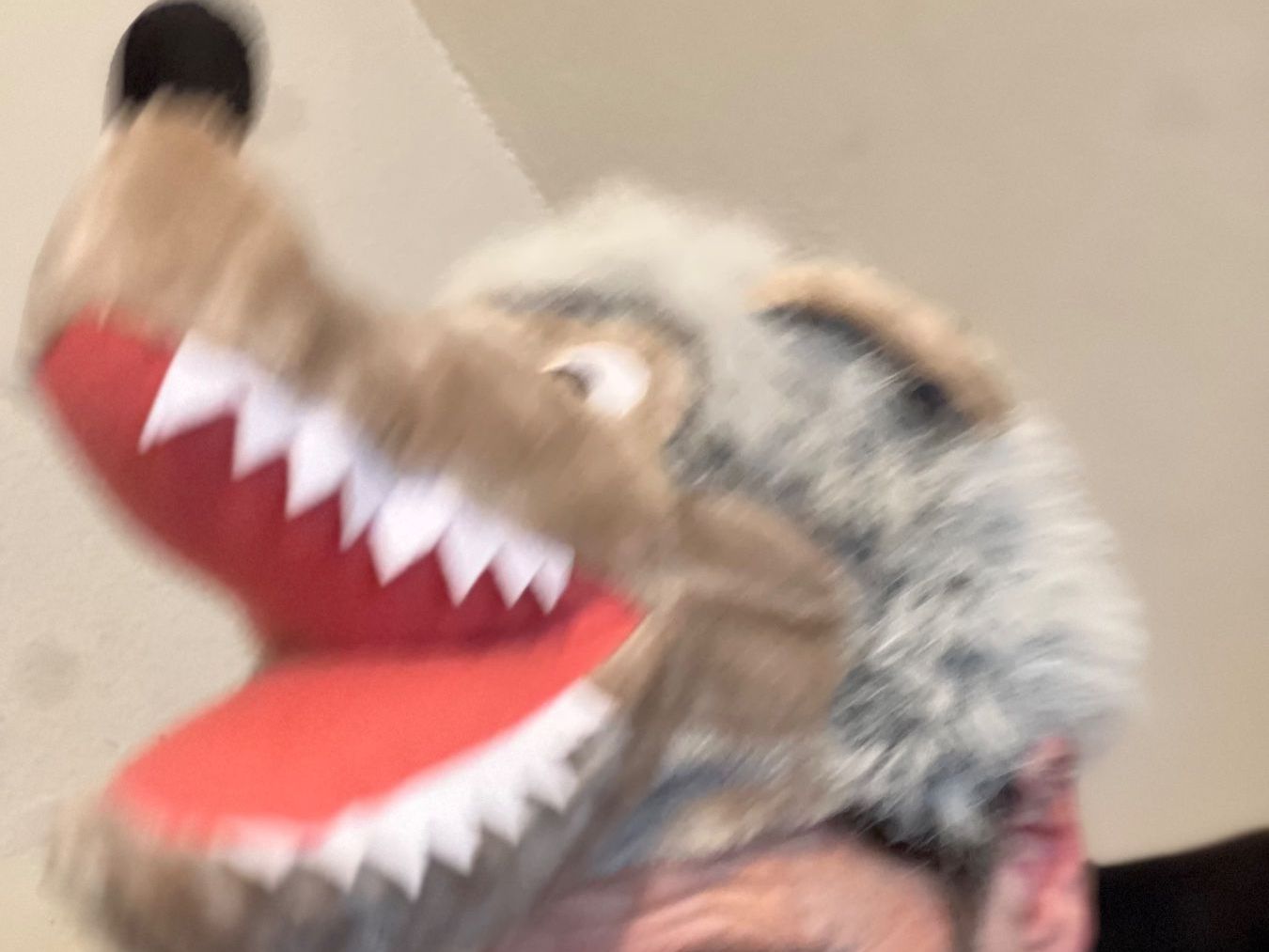 Masken: Wolfs Maske – Gebraucht aus Biel/Bienne von SirRolf