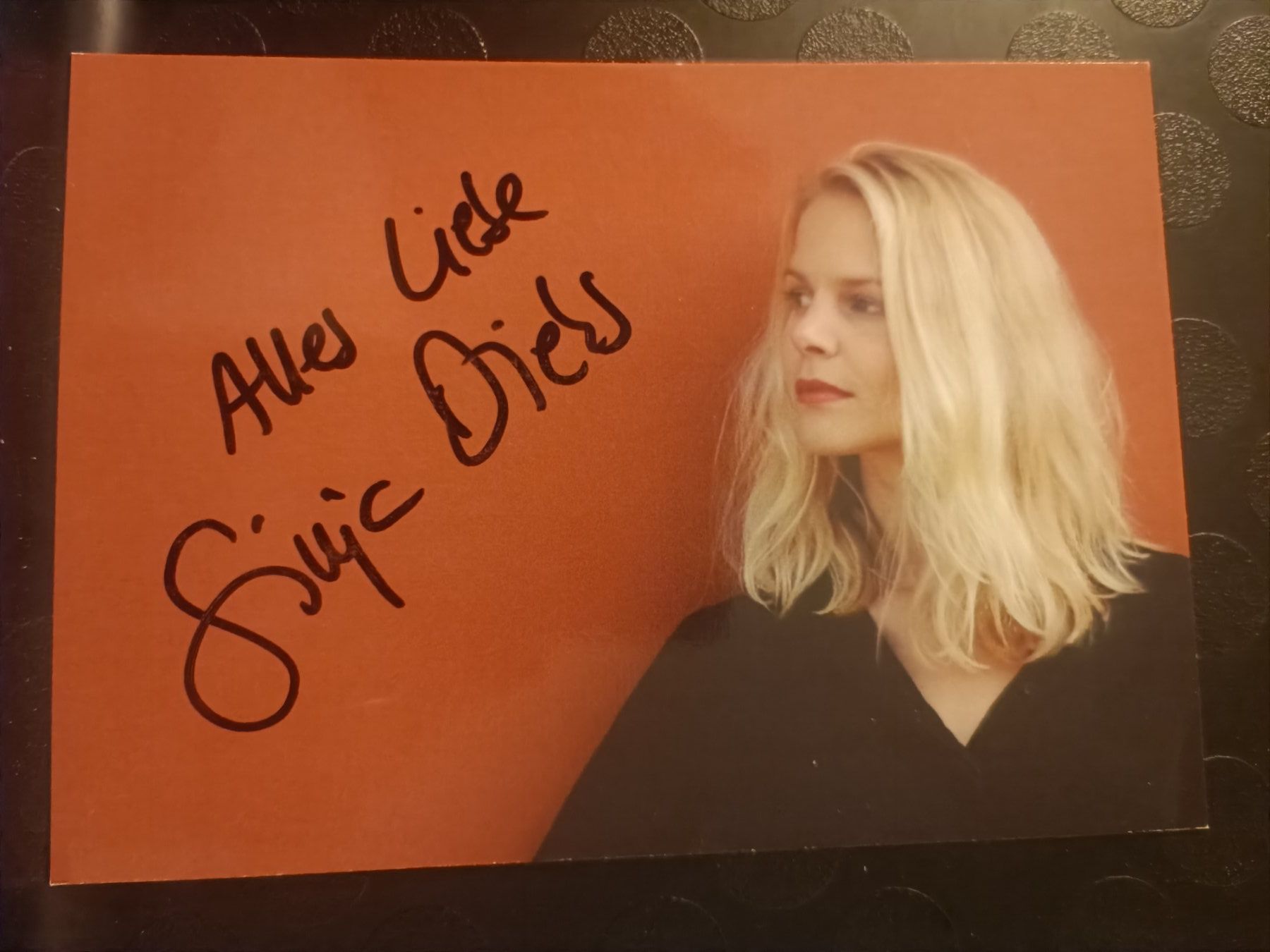 Autografi: Sinja Dieks - original Autogramm – Usato da Menziken venduto da Artographs