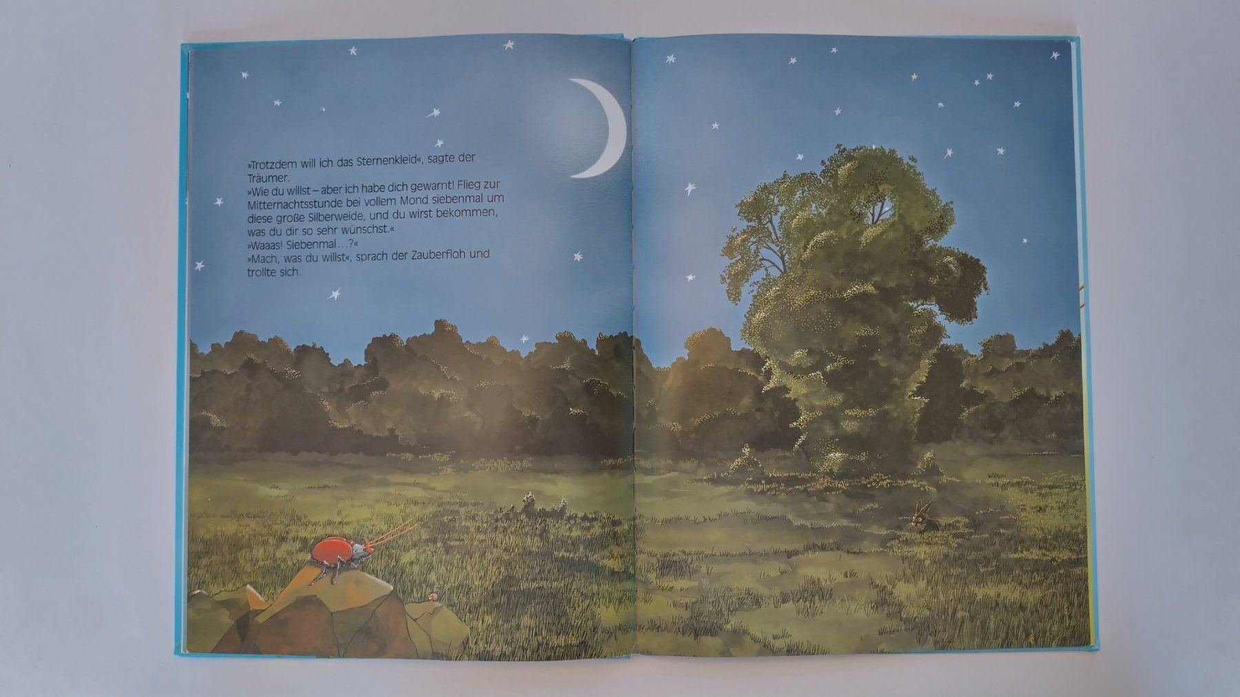 Bücher: Der Sternenkäfer / Bilderbuch 1994 ab Fr. 4.- / 2 Risse – Gebraucht aus Bellach von JingleJerry 5