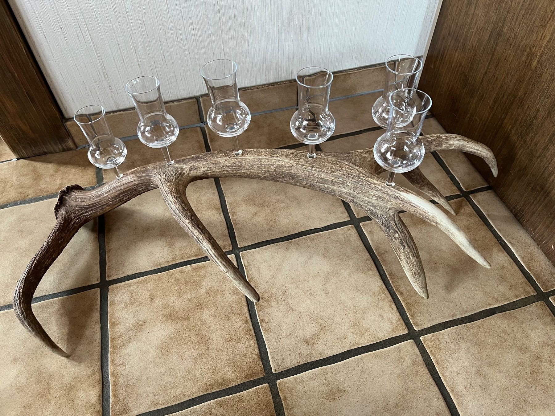 Tutte le decorazioni: Hirschgeweih mit 6 Schnapsgläser – Usato da Sattel venduto da Faca 2