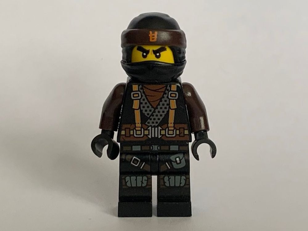 Lego Ninjago Cole (Dragon Masters) - Hunted Figur (Gebraucht) in ...