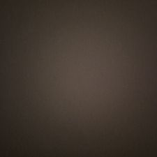 Profile image of Leon_8383833