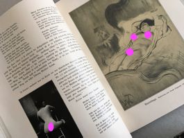 🟡antik Buch Die Weiberherrschaft Band III - 1930 EROTIK