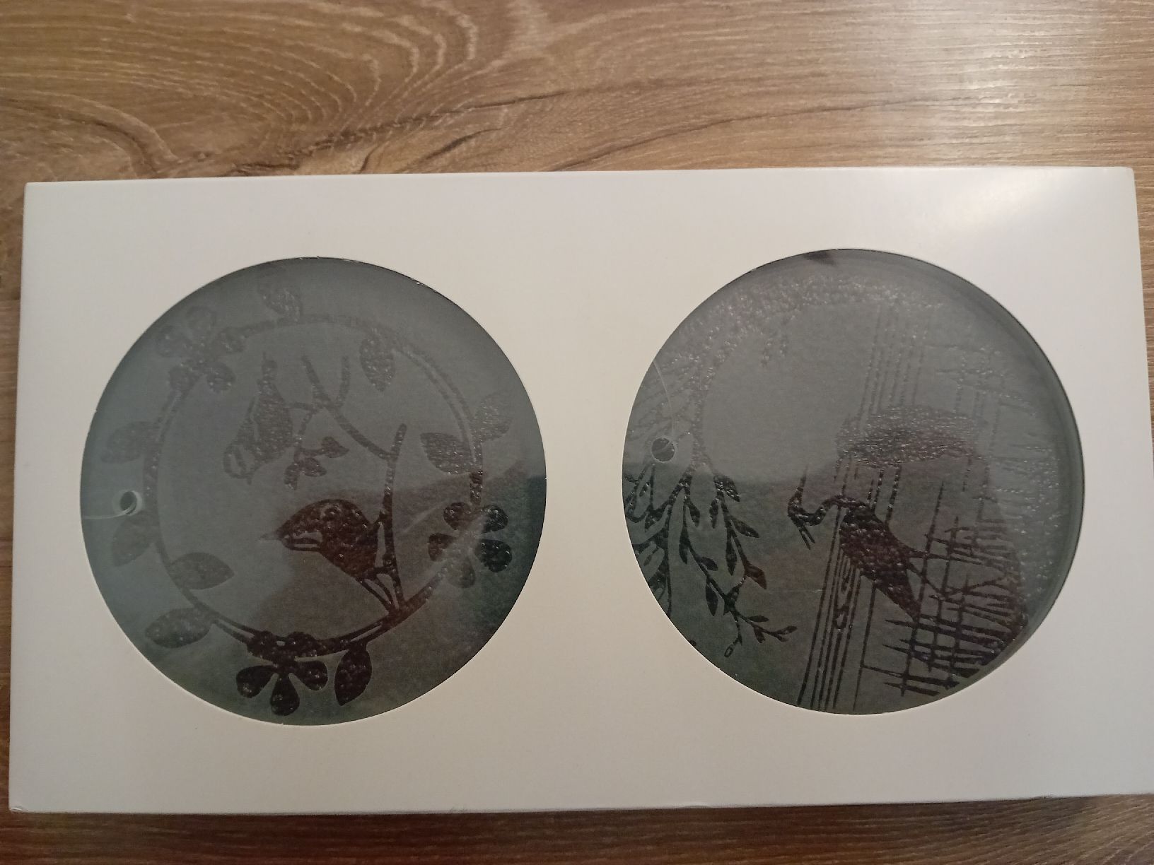 Tutte le decorazioni: Deko Glasscheiben Duo Vogel als Deko oder Untersetzer – Nuovo e nell'imballaggio originale da Dussnang venduto da kevin0812