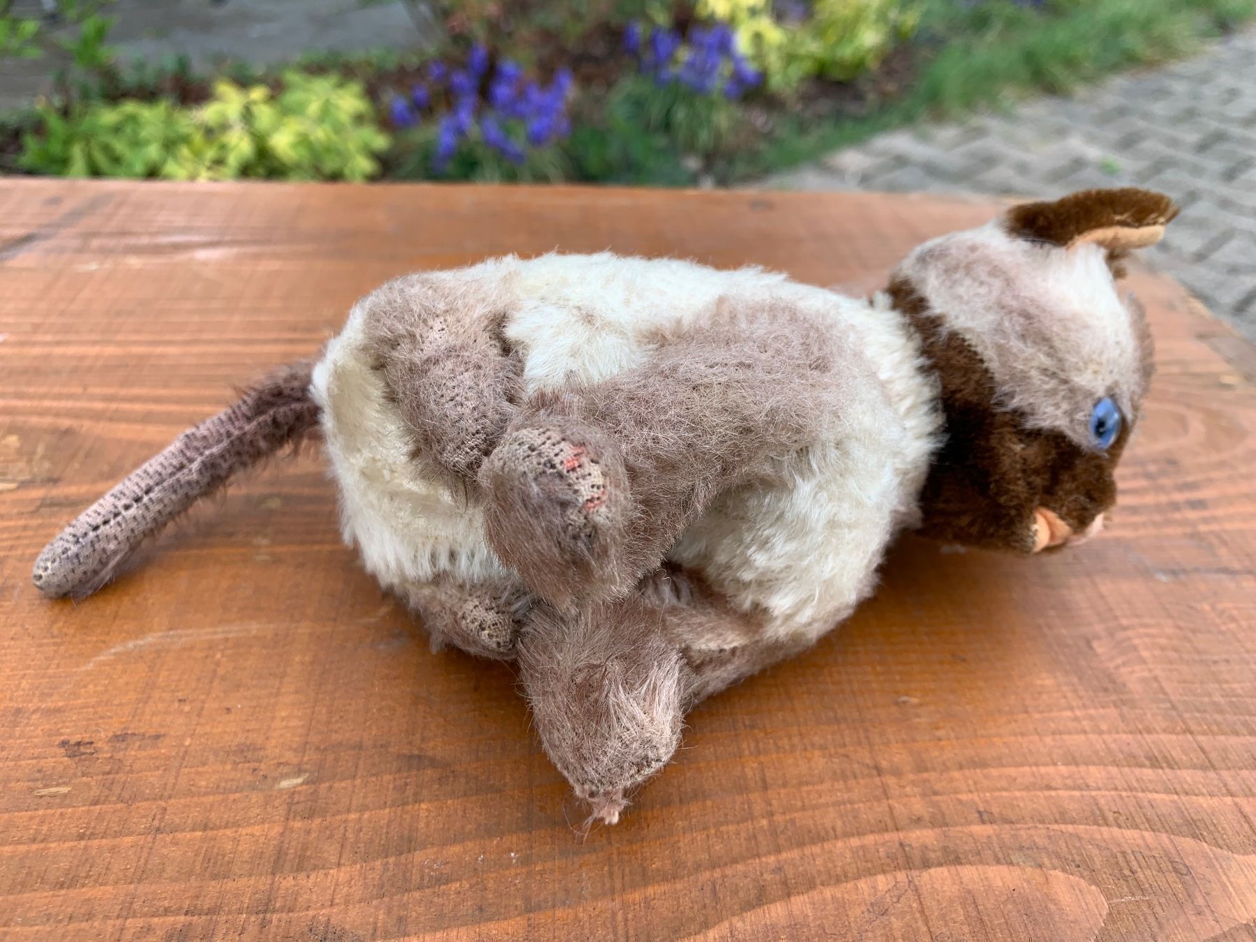 Steiff Giocattoli: seltene Steiff Siamy Siamesen Katze – Usato da Feldbach venduto da Olive1 8