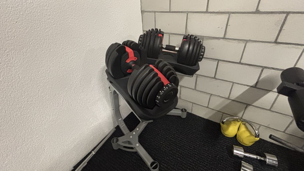 Gonser Manubri & Pesi: Verstellbare Hanteln 24kg – Usato da Arbon venduto da Ninian.A 1