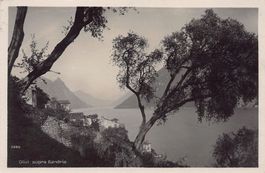 Olivi sopra Gandria, circolata 1928