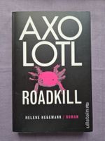 Helene Hegemann Axolotl Roadkill Gegenwartsroman Berlin