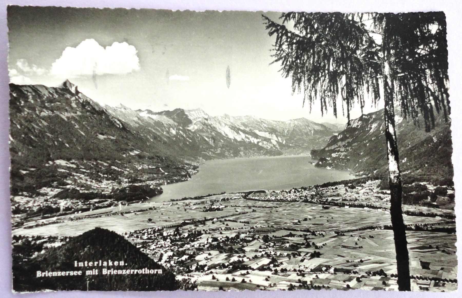 Cartoline postali: Interlaken, Brienzersee mit Brienzerrothorn – Usato da Fétigny venduto da Billy2miny