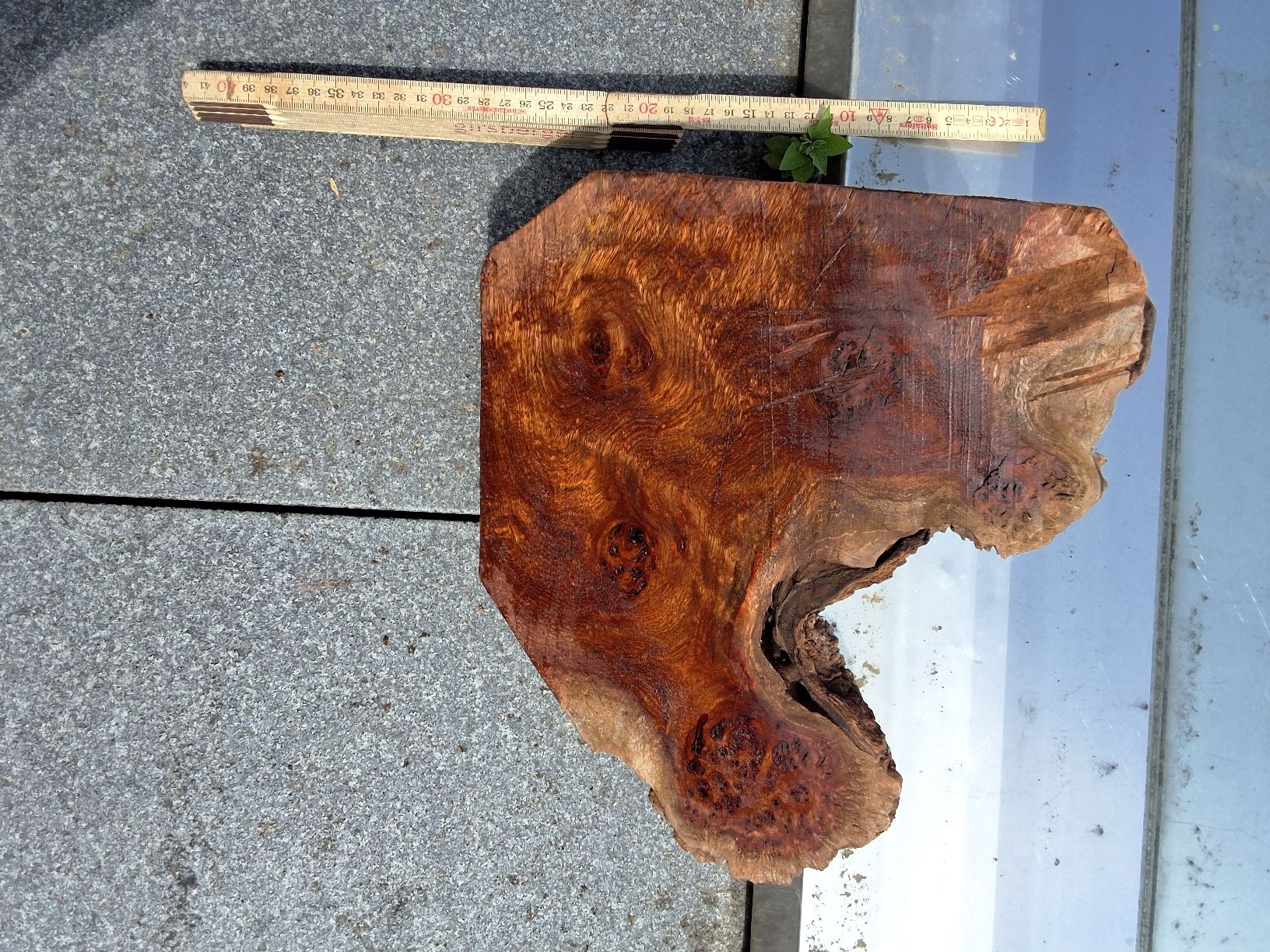 Articoli in legno: Maserknolle Chechen – Usato da Birrwil venduto da and_bp8z 1