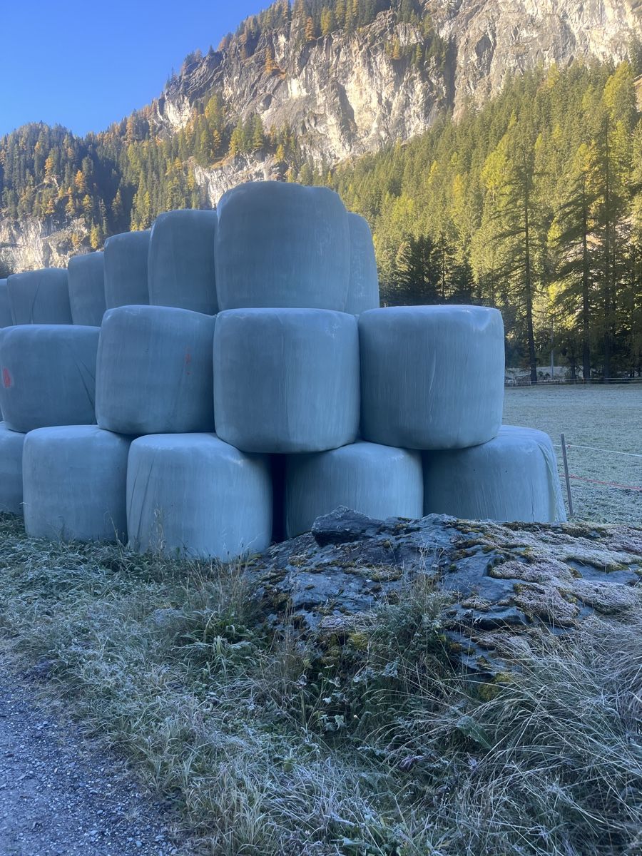 Mangimi: Siloballen/Silage – Nuovo e nell'imballaggio originale da Mulegns venduto da Mumaster