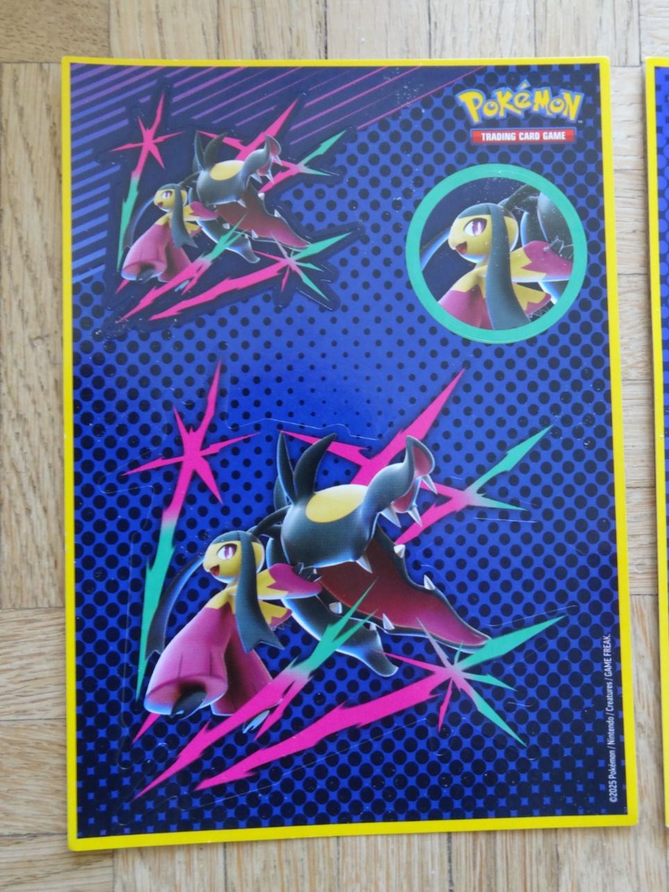 Pokémon Carte collezionabili: POKEMON Stickers     13x18 cm – Usato da Romanel-sur-Lausanne venduto da Swift13 1