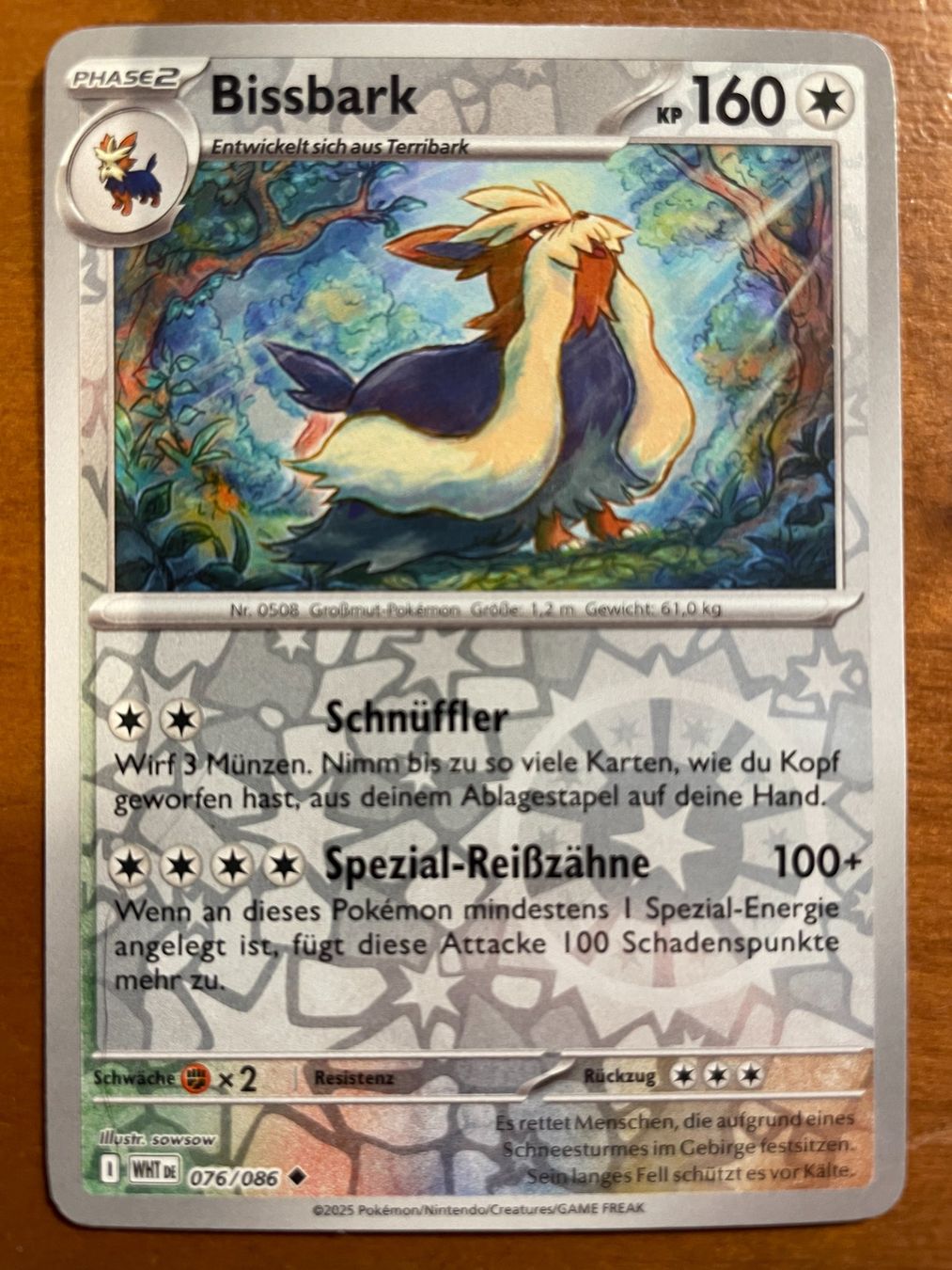 Pokémon Carte collezionabili: Pokemon Bissbark Reverse (Versand gratis) – Nuovo (secondo la descrizione) da Chur venduto da Angerson