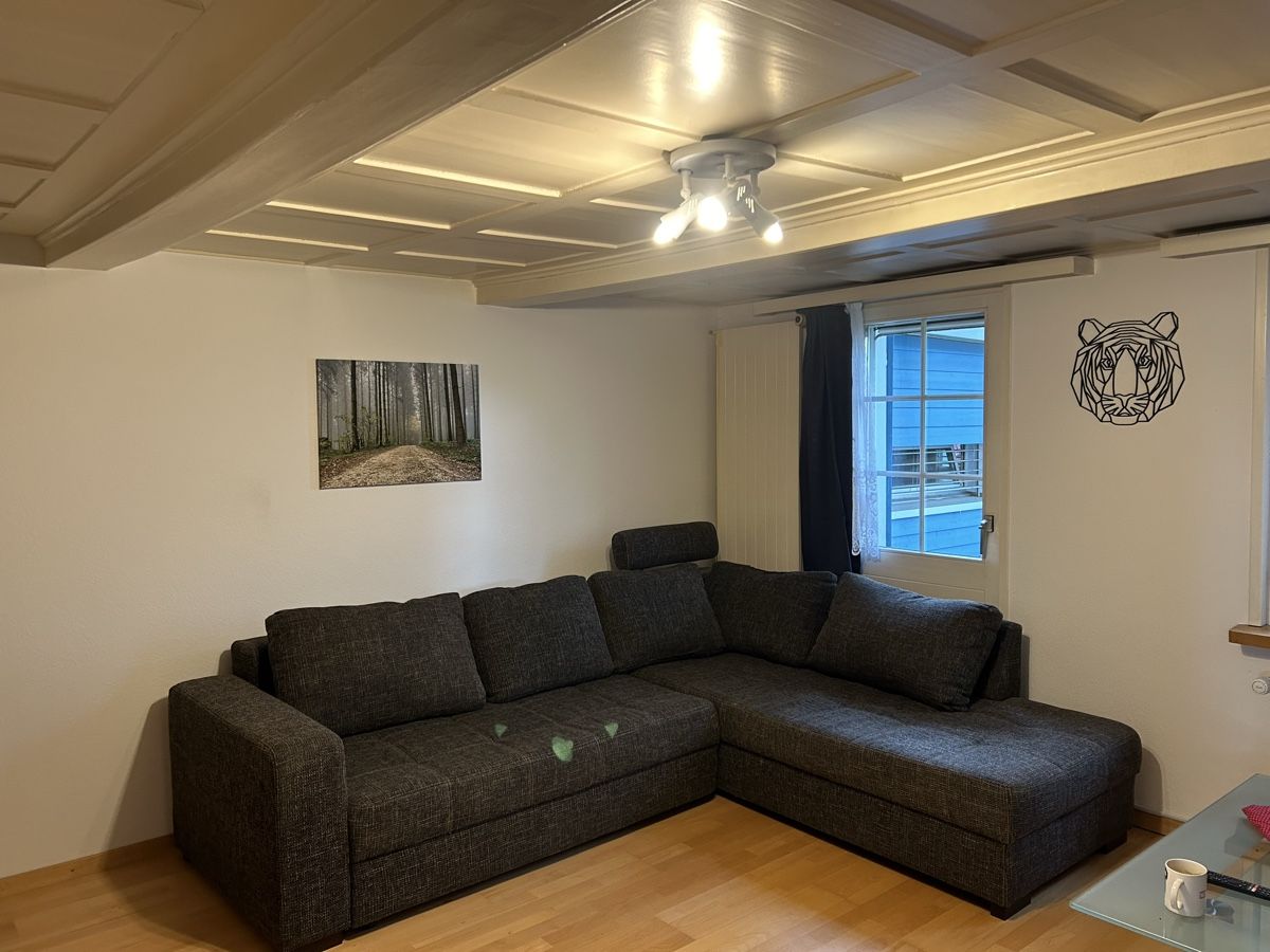 Divani: Bett-Sofa ausziehbar – Usato da Büron venduto da simix 2