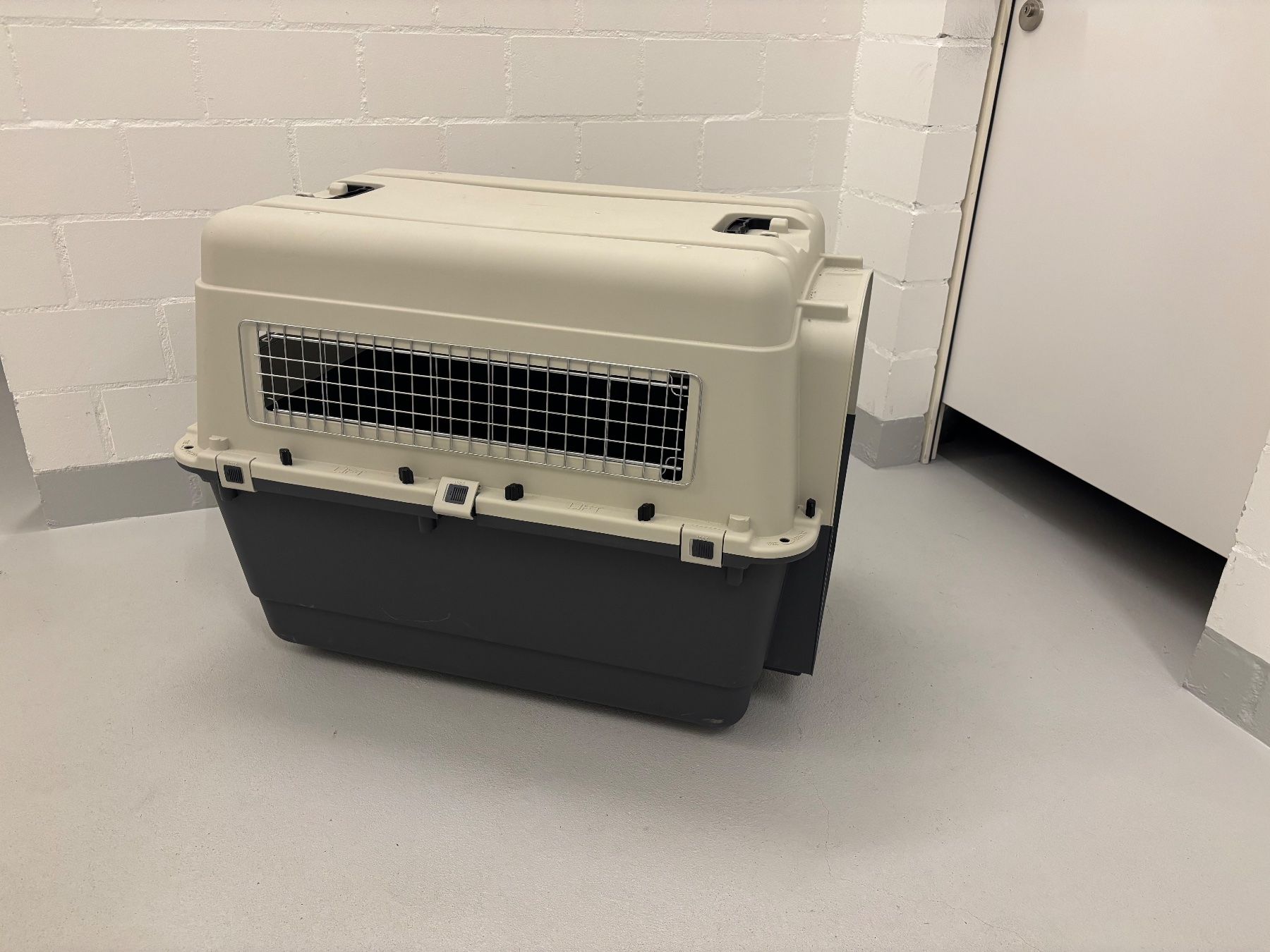Gabbie, trasporto & Sicurezza: Hundebox – Usato da Pfäffikon ZH venduto da R-Jako 2