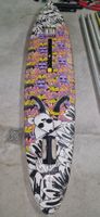 Vintage Surfausrüstung Fanatic Ultra Rat aus den 90zigern