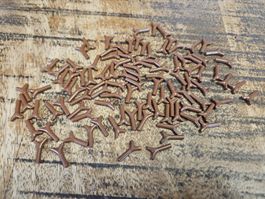 lego 33183 lot de 100 pièces Reddish Brown Plant Stem
