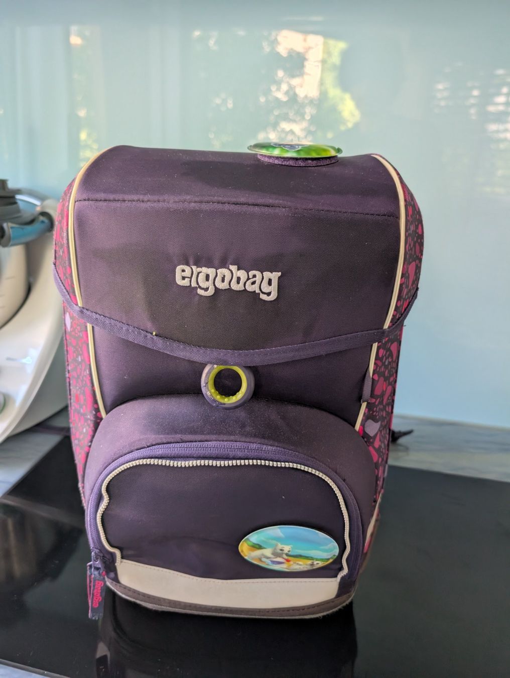Ergobag Borse & Zaini: Ergobag – Usato da Zürich venduto da mbucur 4