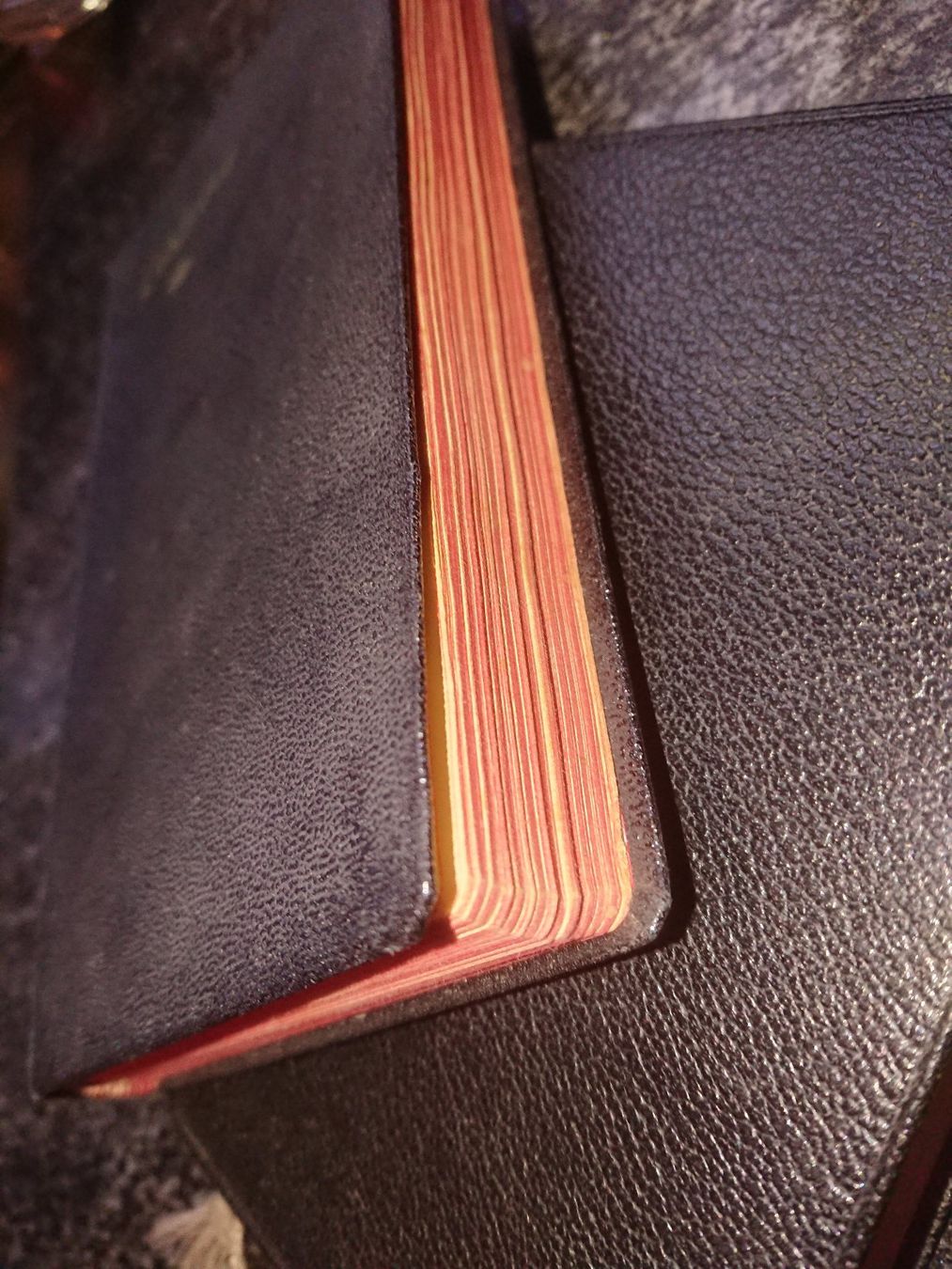 Bücher: Loblieder Buch – Gebraucht aus Büren an der Aare von creazioneshop 4