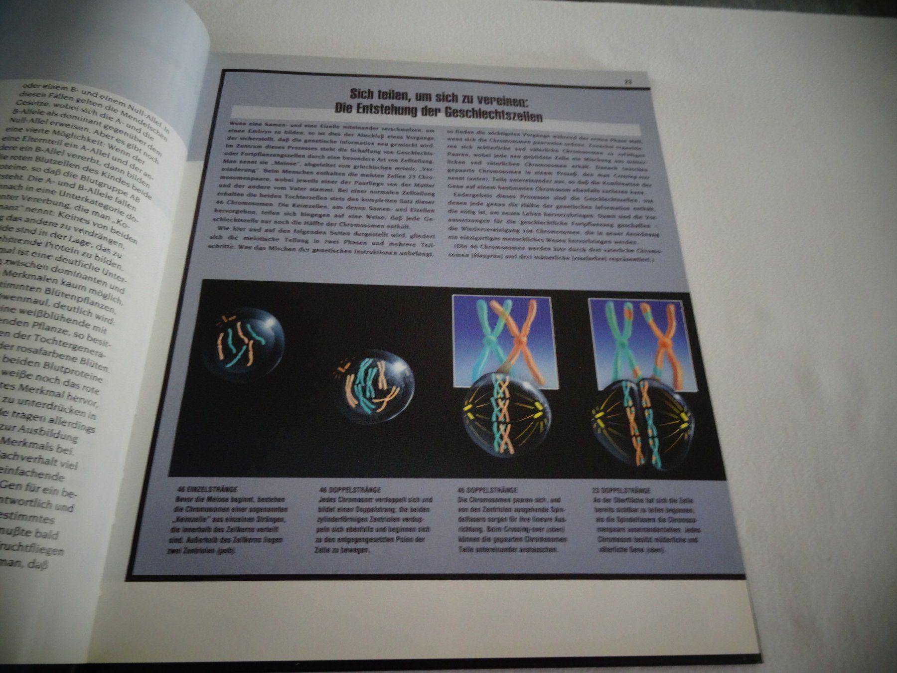 Libri: Der Genetische Code – Usato da Neerach venduto da jenny062 3