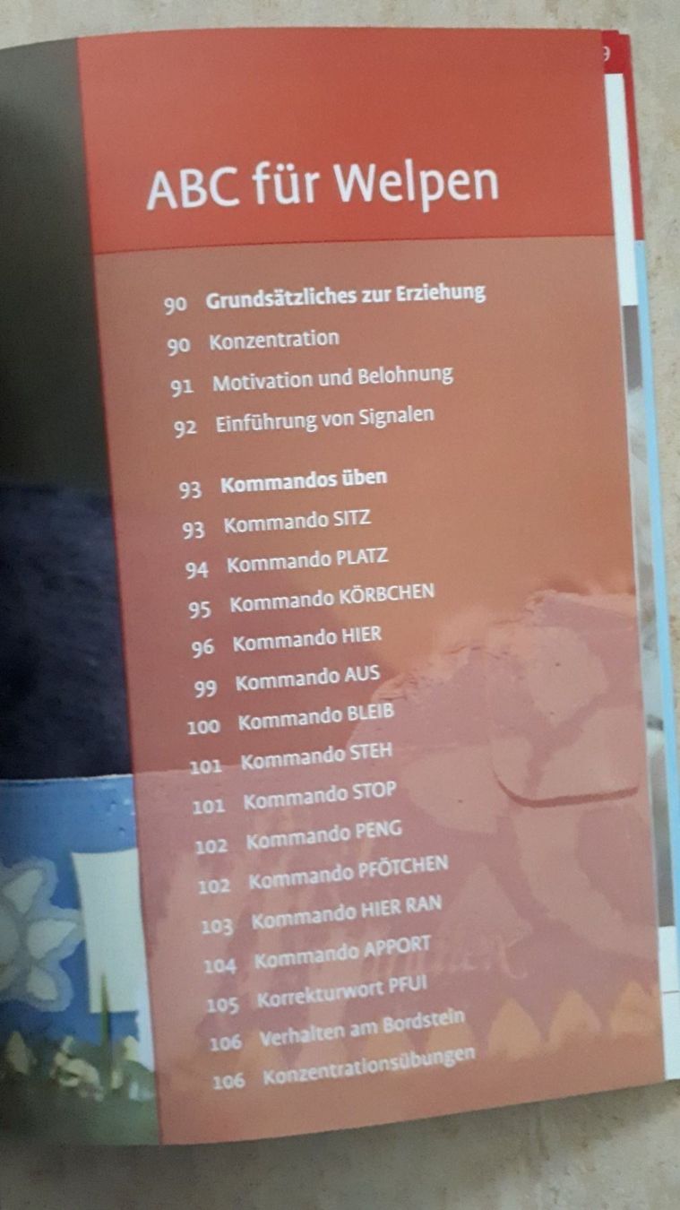 Libri: Welpenschule Celina del Amo – Usato da Basel venduto da Alacant 3