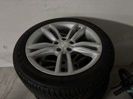 19" winter tires- tesla model S