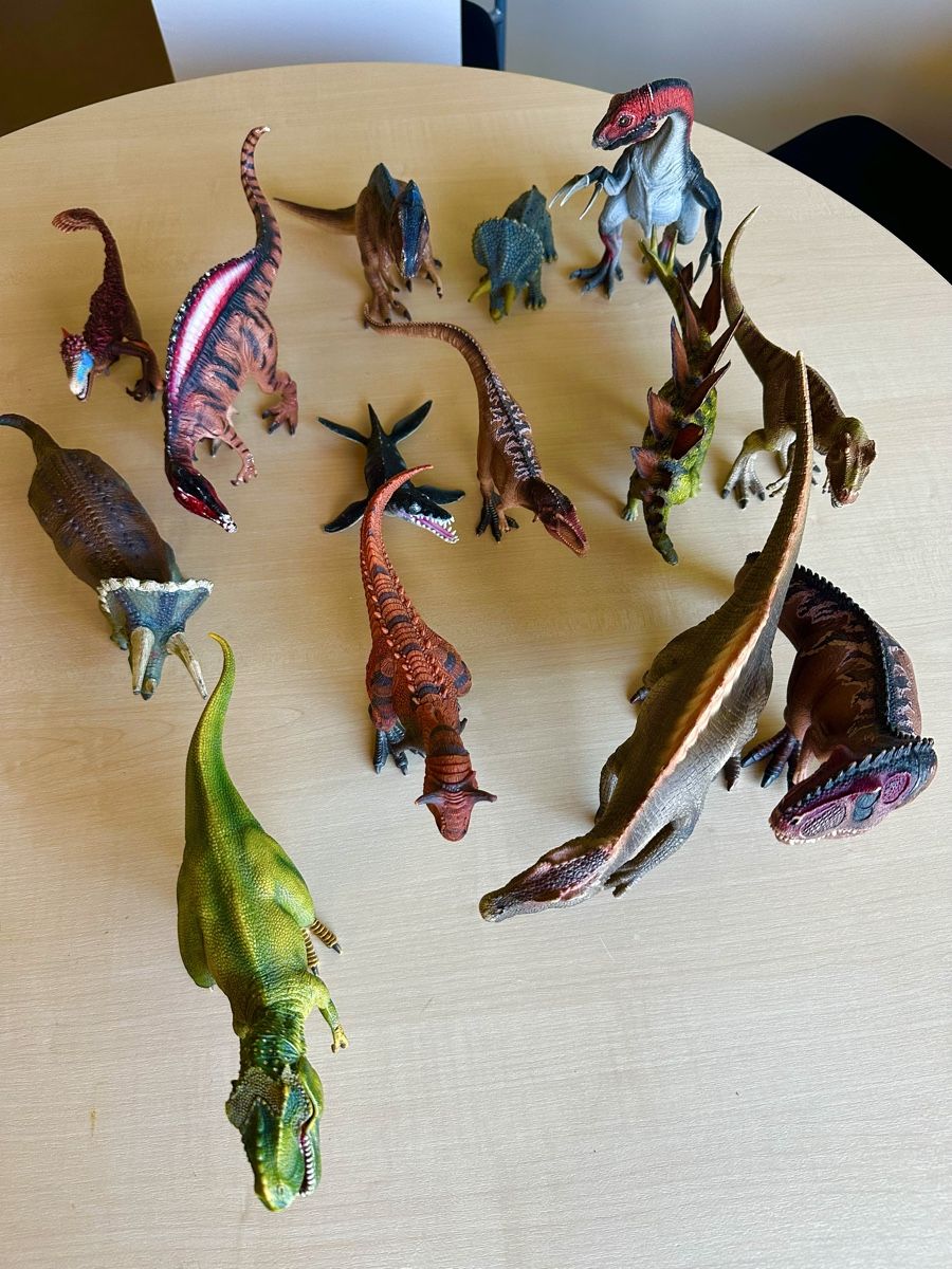 Livres: 14 Dinosaurier – D'occasion à zollikon par mme_kwf2 8