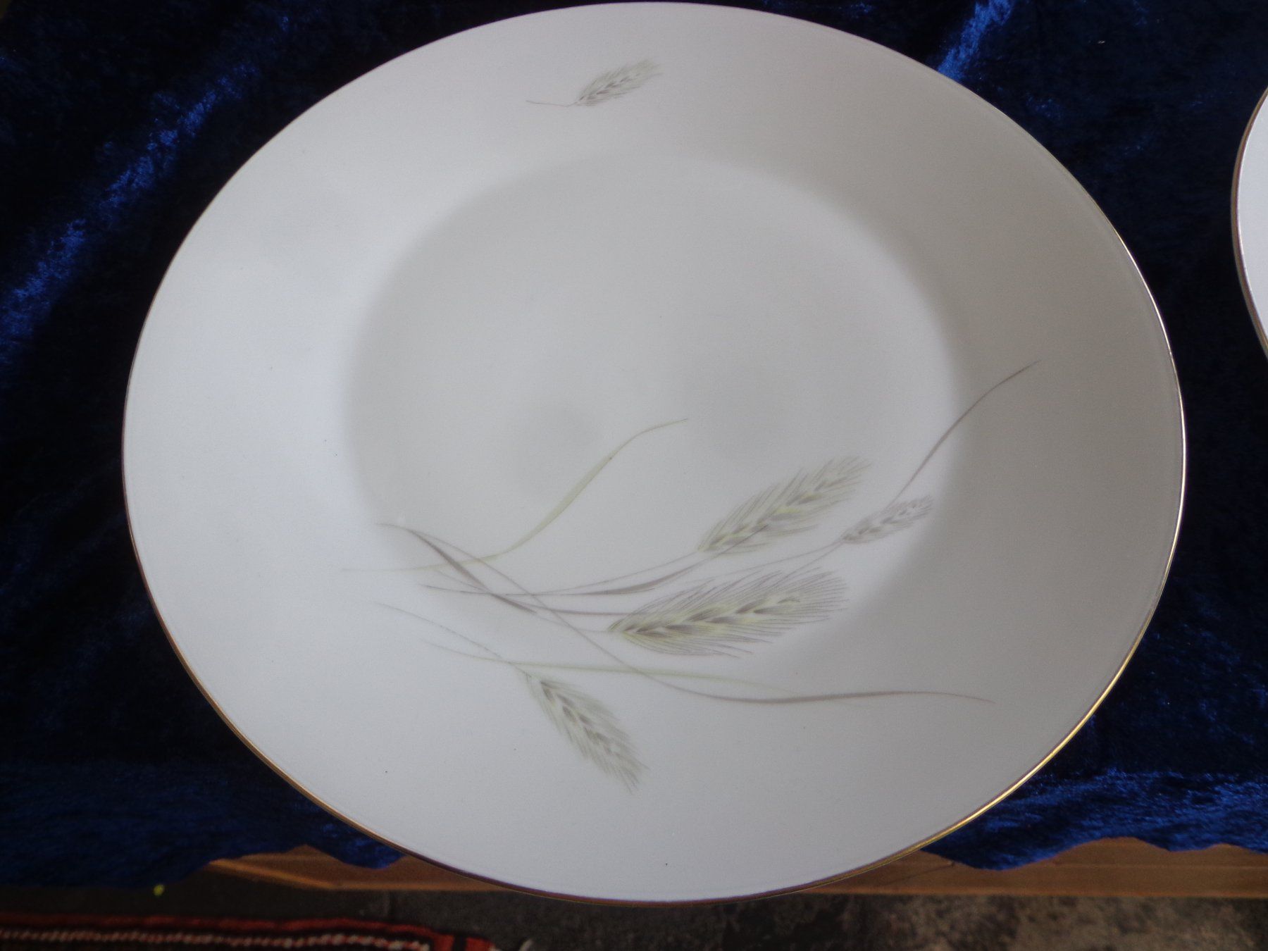 Rosenthal Teller: 12 Rosenthal Teller + 3 Platten – Gebraucht aus Zofingen von schmidi67 1