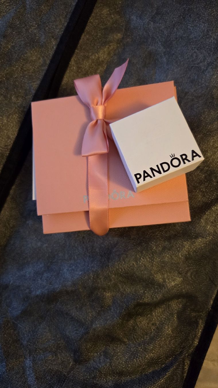 Pandora Armbänder & -reifen: Pandora Charms  – Neu und originalverpackt aus Gossau SG von sar_7vt5 1
