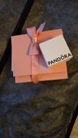 Pandora Charms