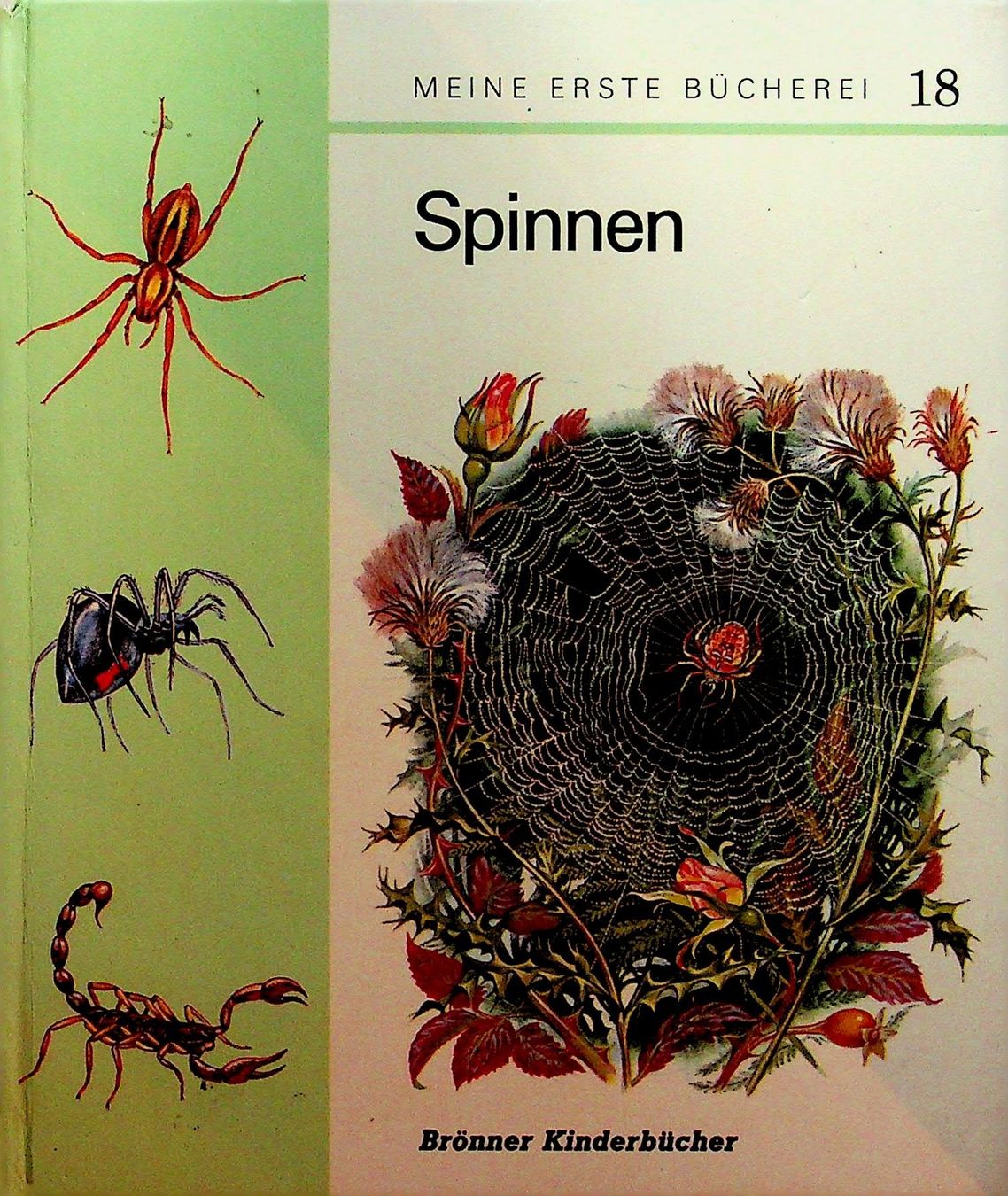 Libri: Spinnen   Brönner Kinderbücher 1972 – Usato da Reitnau venduto da Zaomir