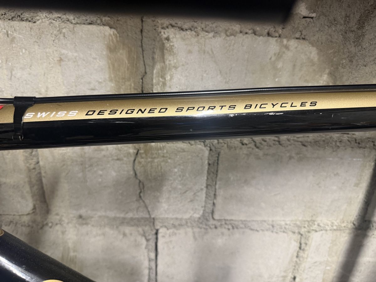 Canyon Biciclette: Canyon FXD singlespeed Fahrrad – Usato da Zug venduto da san_rqn9 2