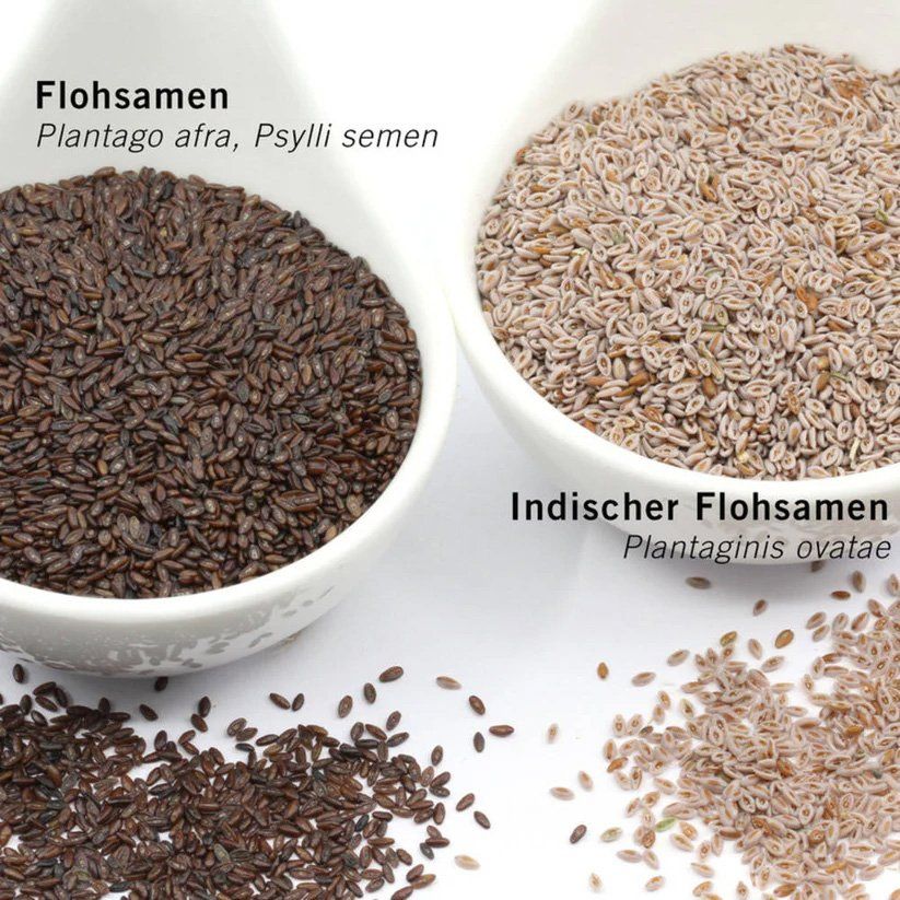 Cibi & Specialità: BIO Flohsamen ungeschält / 1.5 kg – Nuovo e nell'imballaggio originale da Mettendorf TG venduto da Ricardo-Bazar 4