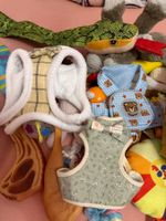 31 Teiliges Neuwertiges Hundepaket Ab CHF 1!!