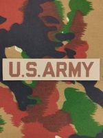 Abzeichen U.S. ARMY, Variante 2