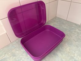 Tupperware Box lila gebraucht