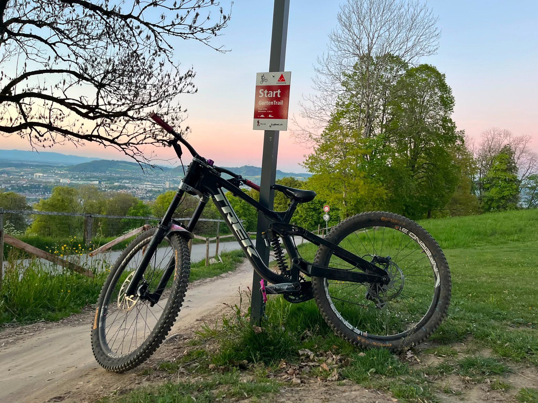 Trek Biciclette: Trek session 8 Downhill Maschine – Usato da Bern venduto da Jaguar06 8