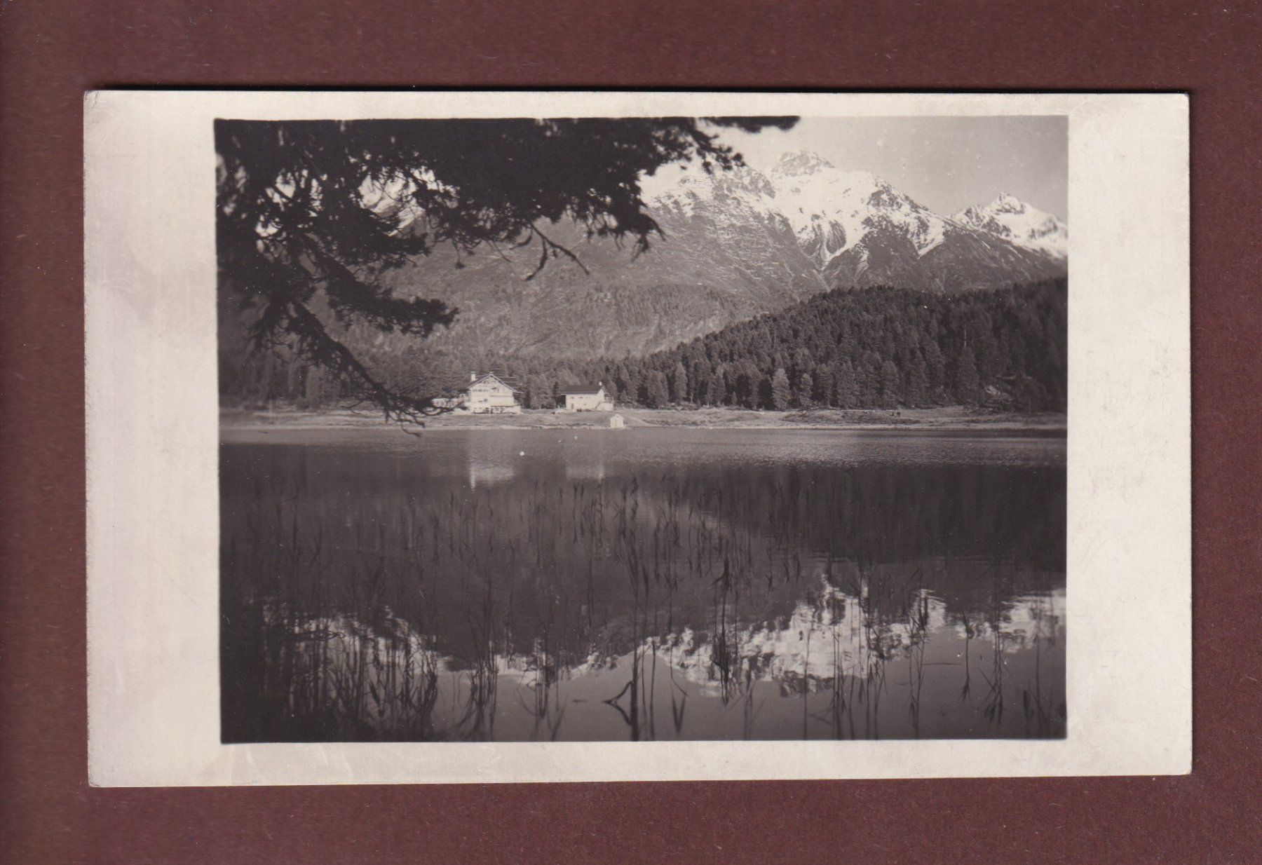 Ansichtskarten: STAZERSEE - Piz Languard – Gebraucht aus Pully von nicecards-shop