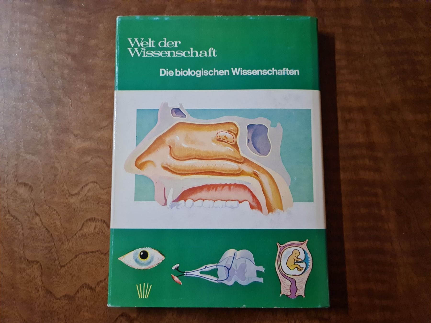 Libri: Der menschliche Körper – Usato da Erstfeld venduto da Mario_boe0 3