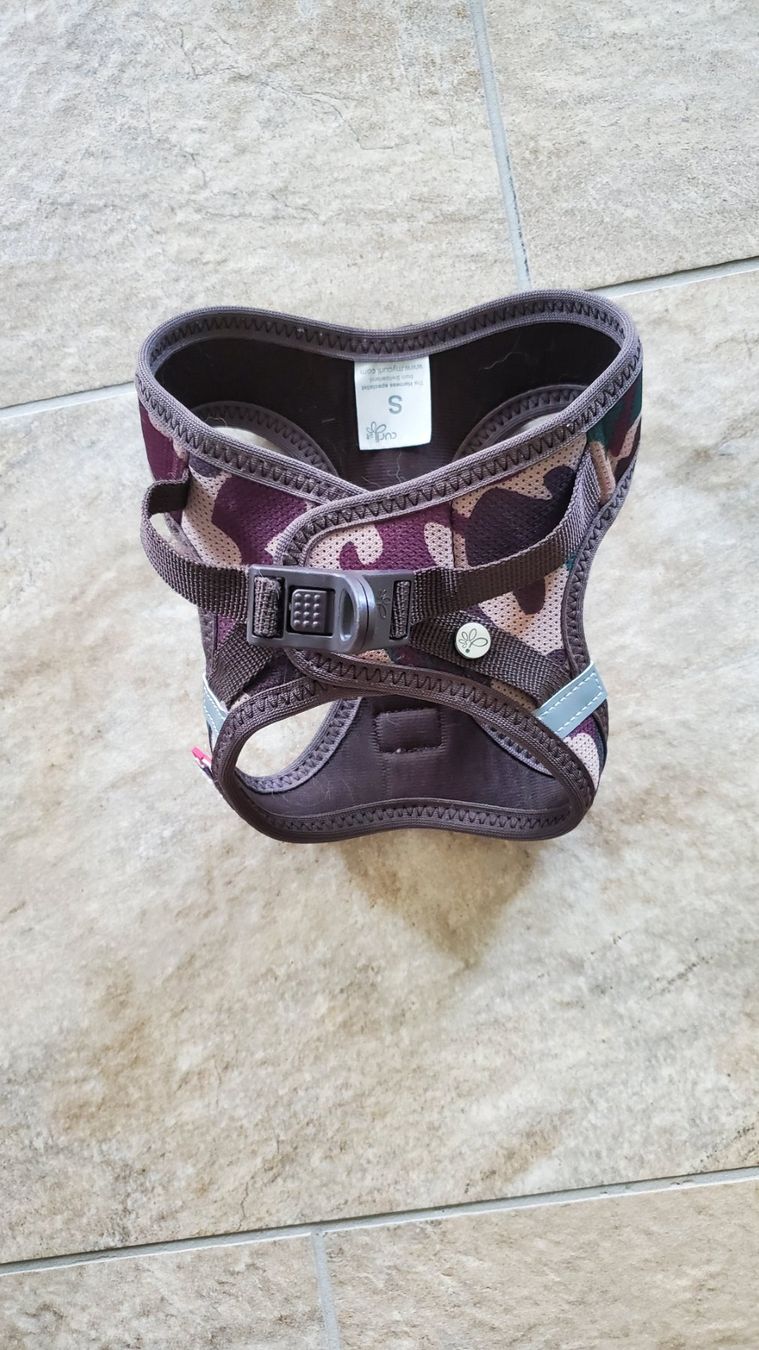 Guinzagli & Collari: Hundegeschirr Curli, camo, S – Usato da Interlaken venduto da mar_65xg