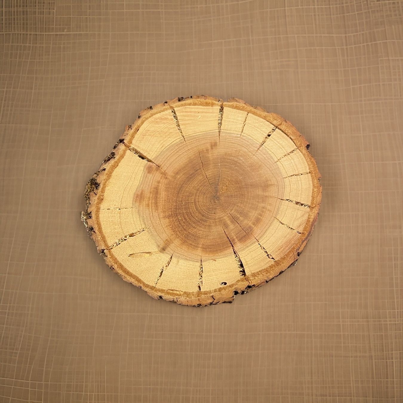 Articoli in legno: Holzscheiben – Usato da Brunnen venduto da Holz-style 1