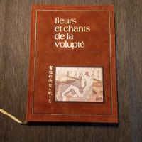 Buch mit Illustrationen japanischer Drucke